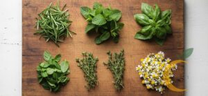 Ervas funcionais frescas organizadas em tábua de madeira, mostrando alecrim, hortelã, manjericão, tomilho e camomila — ingredientes naturais ricos em benefícios para a saúde.
