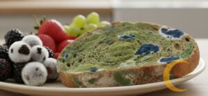 Close de alimentos com mofo visível e fundo desfocado, representando fungos alimentares.